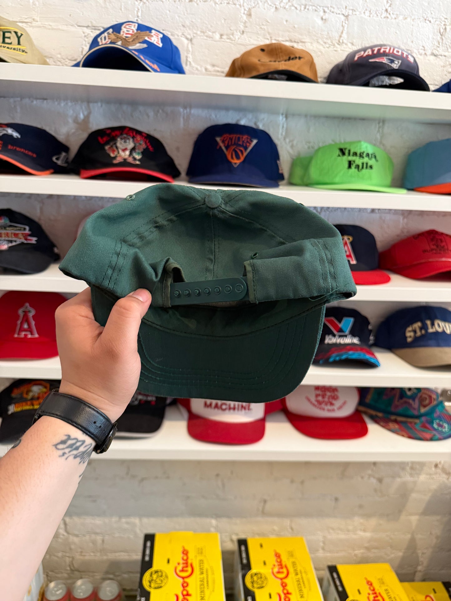 Vintage Nature Conservatory Hat