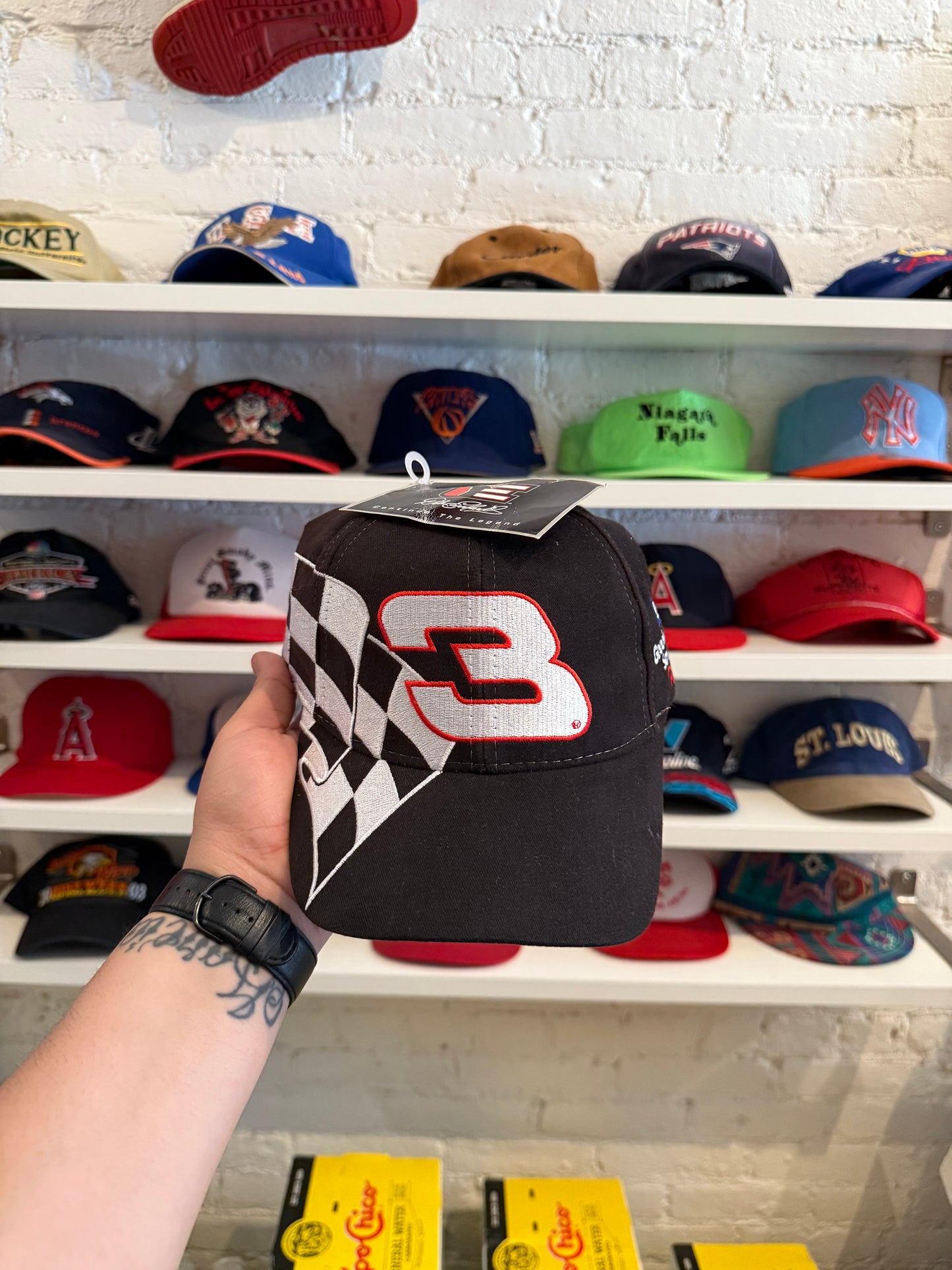 NWT Dale Earnhardt Hat