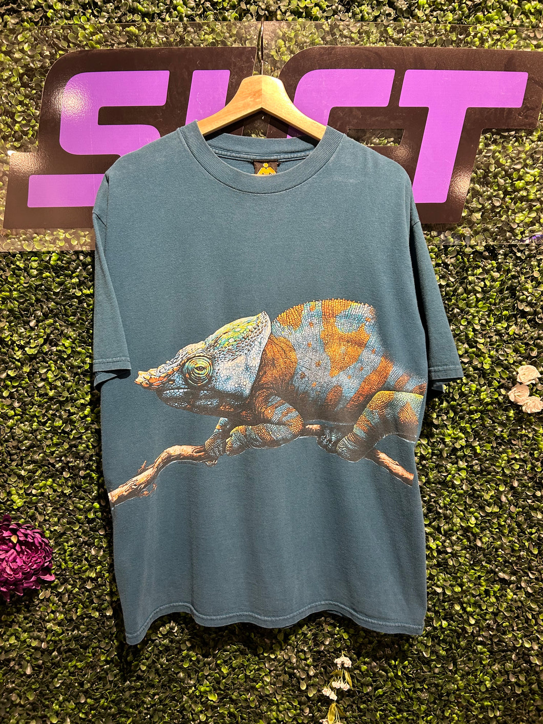 90s Chameleon T-Shirt. Size XL