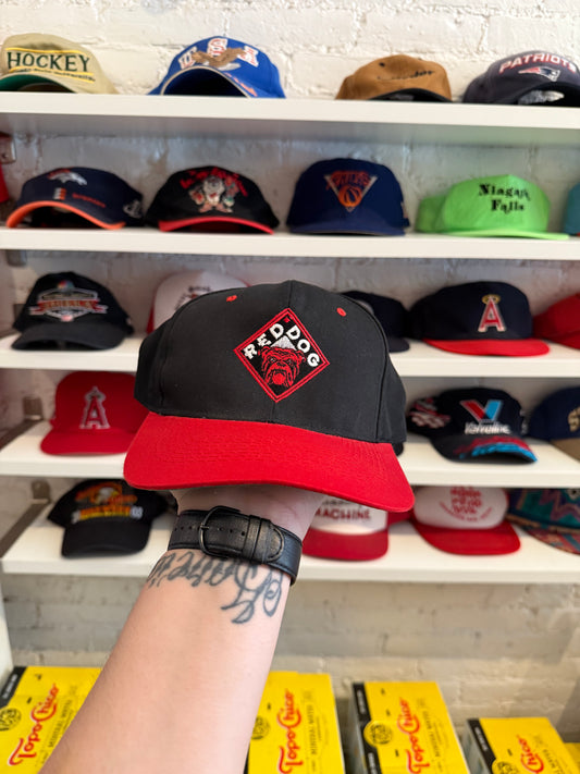 Vintage Red Dog Hat